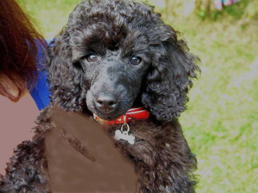 Clic pour l'image suivante