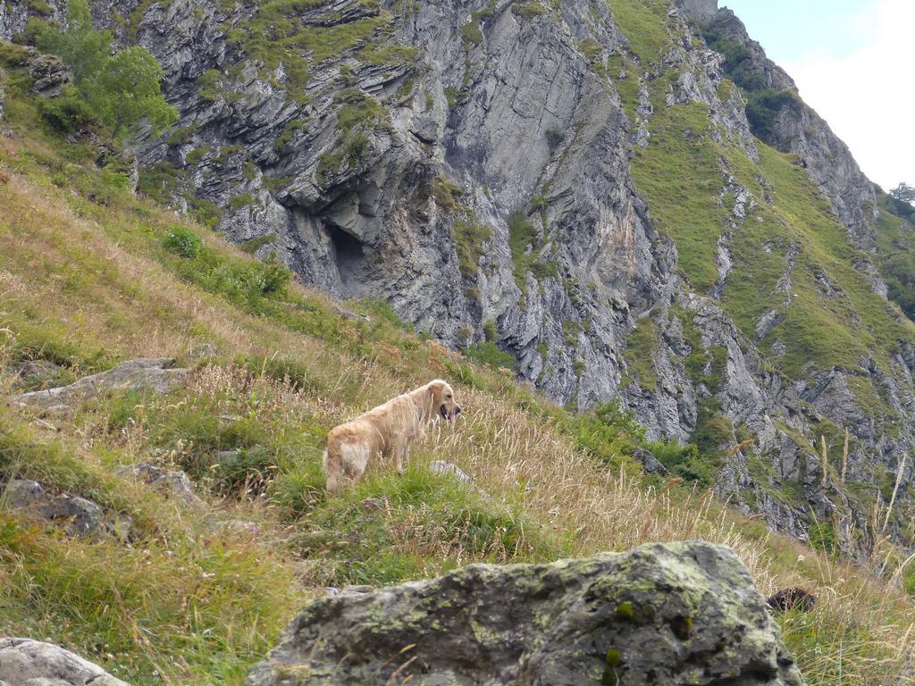 Clic pour l'image suivante