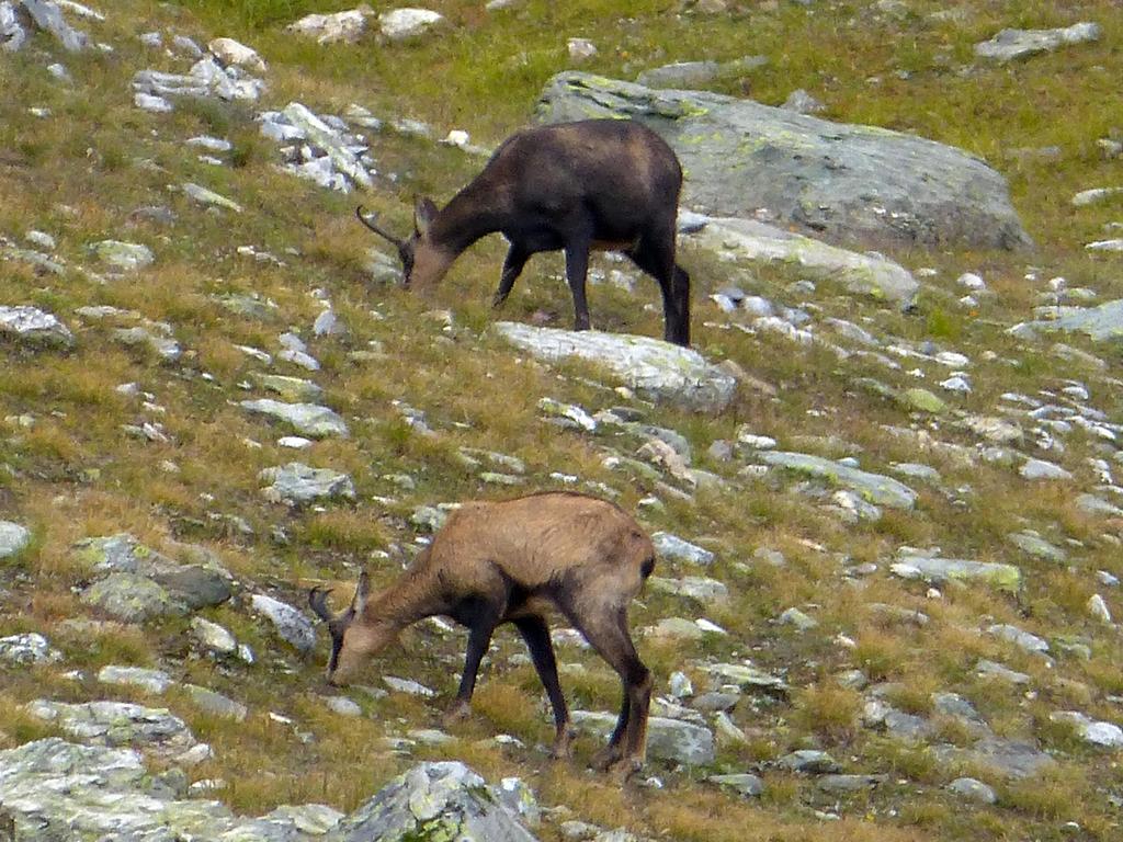 Clic pour l'image suivante