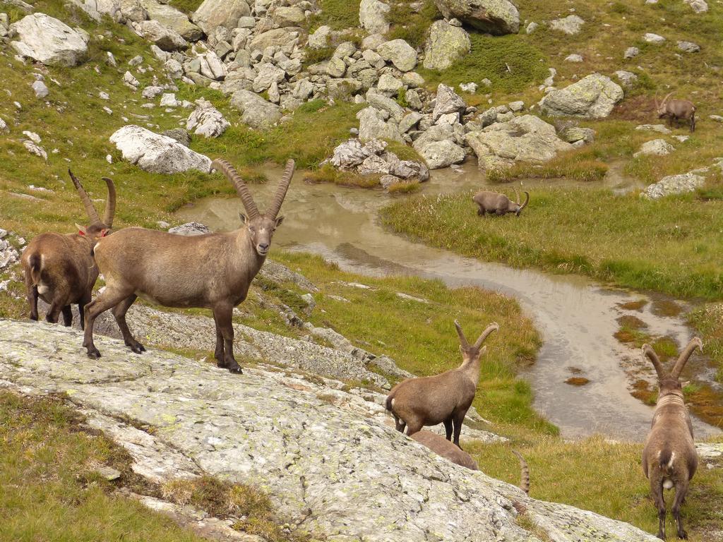 Clic pour l'image suivante