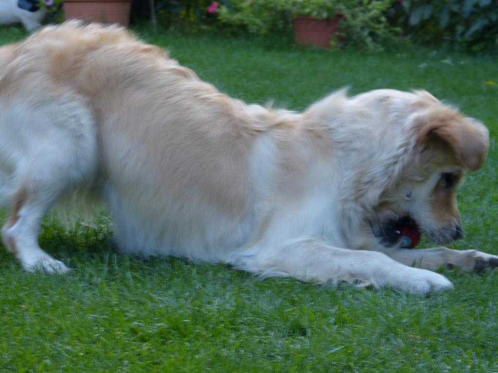 Clic pour l'image suivante