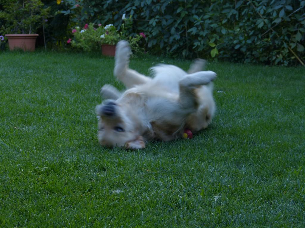 Clic pour l'image suivante