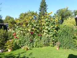 Clic pour agrandir l'image (1024x768 pixels; 255 KB)