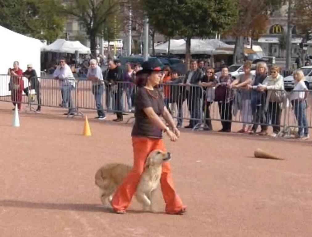 Clic pour l'image suivante