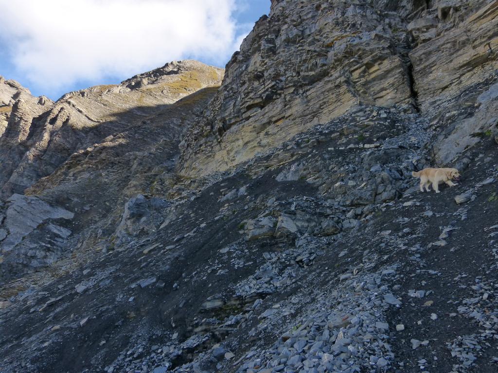 Clic pour l'image suivante