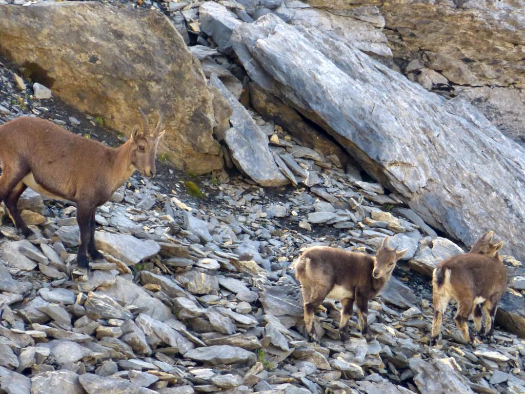 Clic pour l'image suivante