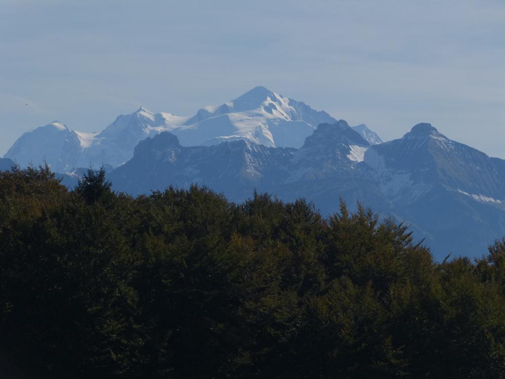 Clic pour l'image suivante