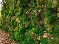 Clic pour agrandir l'image (1024x768 pixels; 180 KB)