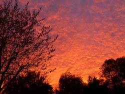 Clic pour agrandir l'image (1024x768 pixels; 142 KB)