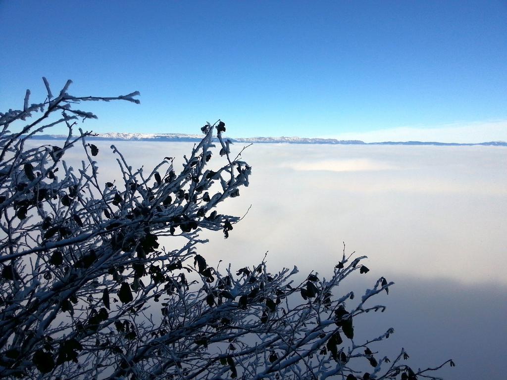 Clic pour l'image suivante