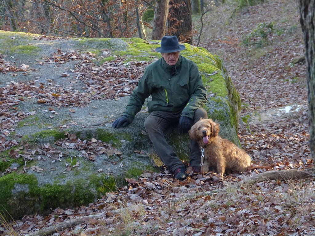 Clic pour l'image suivante