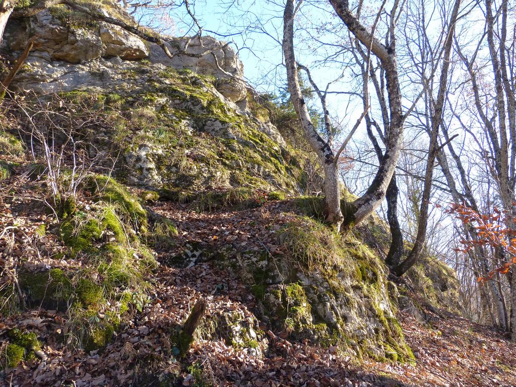 Clic pour l'image suivante