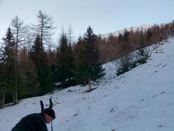 Clic pour agrandir l'image (1024x768 pixels; 102 KB)