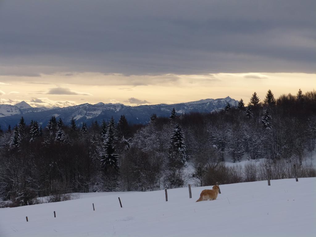 Clic pour l'image suivante