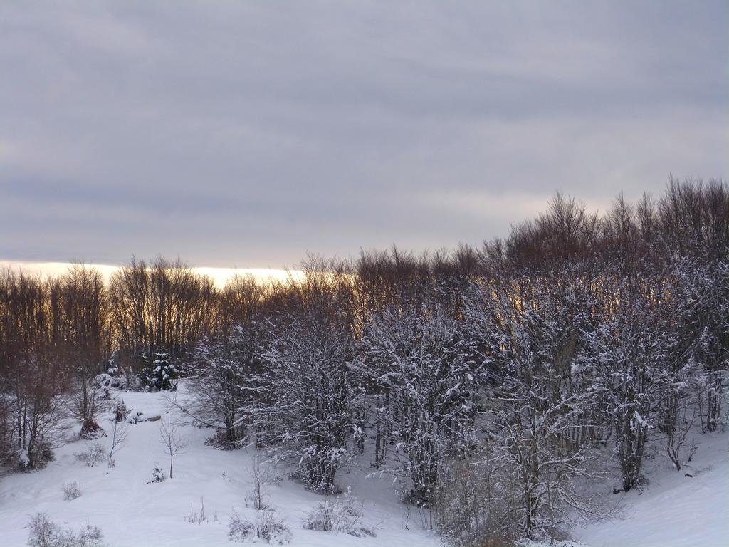 Clic pour l'image suivante