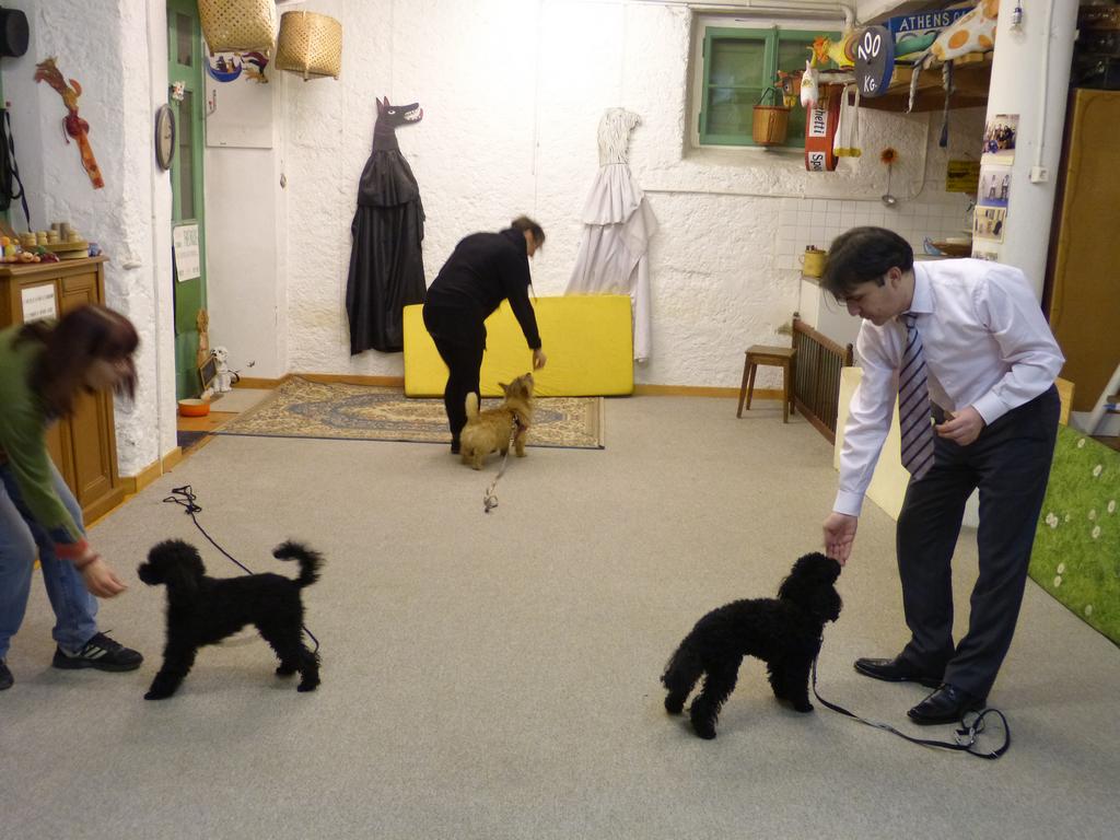 Clic pour l'image suivante