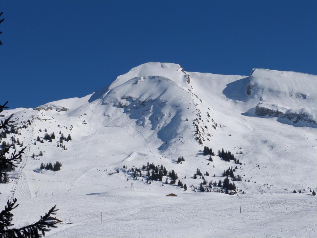 Clic pour l'image suivante