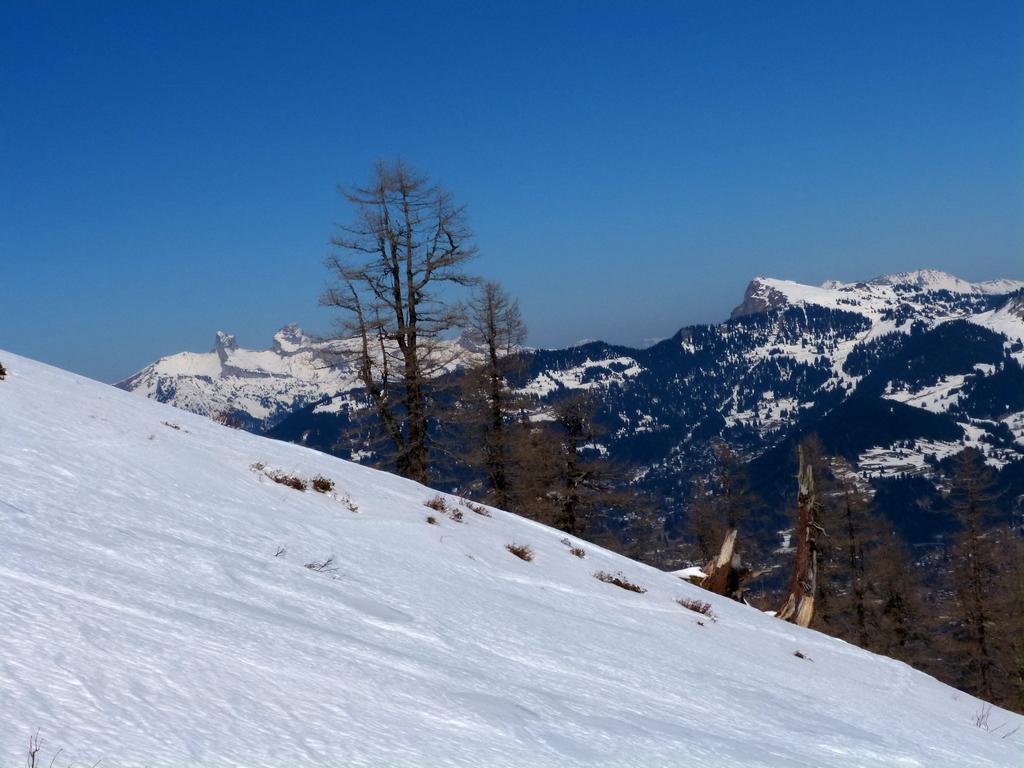 Clic pour l'image suivante