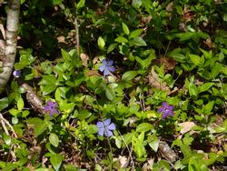 Clic pour agrandir l'image (1024x768 pixels; 189 KB)