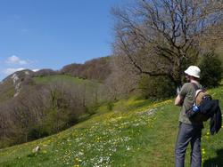 Clic pour agrandir l'image (1024x768 pixels; 174 KB)