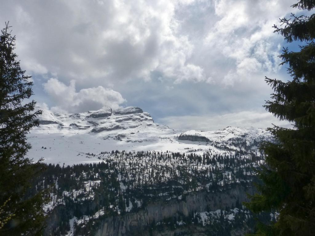 Clic pour l'image suivante