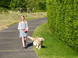 Clic pour agrandir l'image (1024x768 pixels; 237 KB)