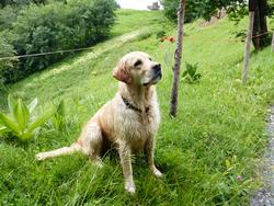 Clic pour agrandir l'image (1024x768 pixels; 219 KB)