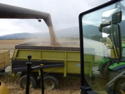 Click to see big picture (1024x768 pixels; 82 KB)