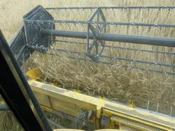 Click to see big picture (1024x768 pixels; 152 KB)