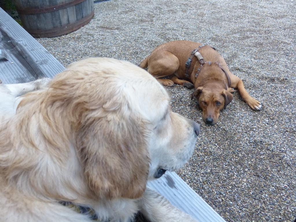 {Clic pour voir plus grand}