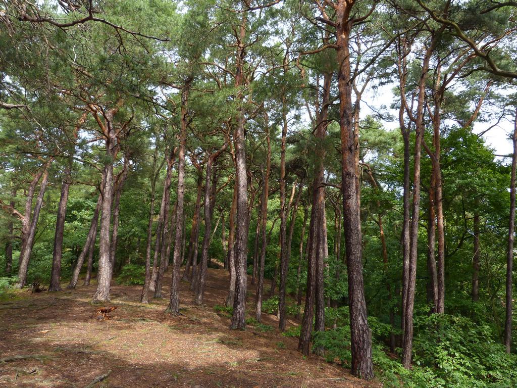 {Clic pour voir plus grand}