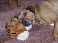 Click to see big picture (1024x768 pixels; 83 KB)