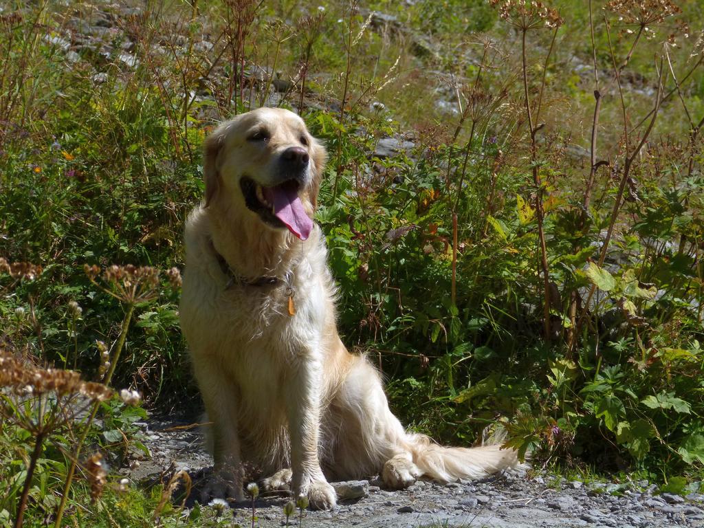 {Clic pour voir plus grand}