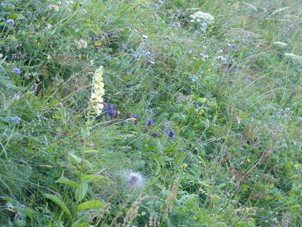 {Clic pour voir plus grand}