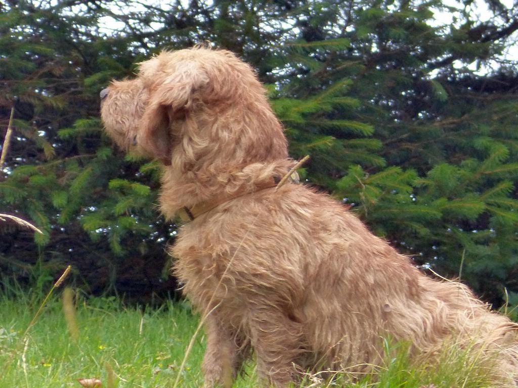 {Clic pour voir plus grand}