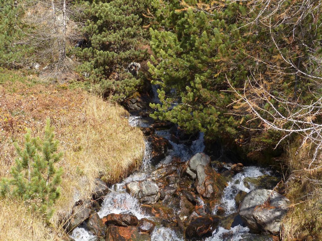 {Clic pour voir plus grand}