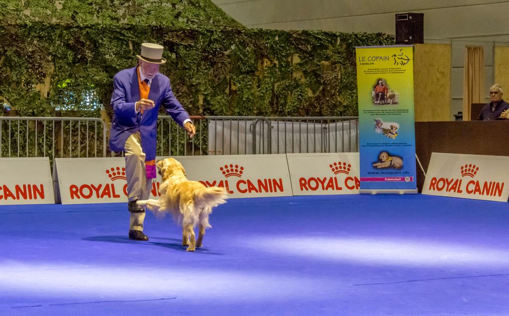 {Clic pour voir plus grand}