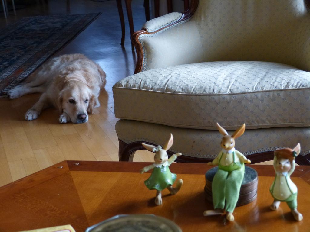 {Clic pour voir plus grand}