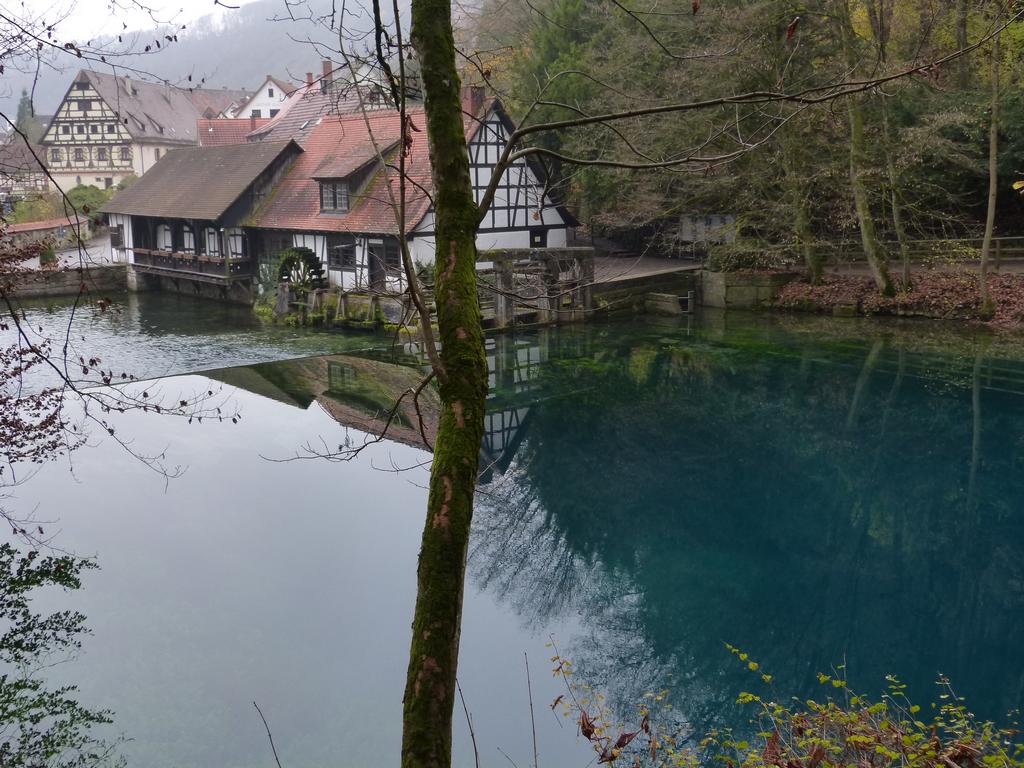 {Clic pour voir plus grand}