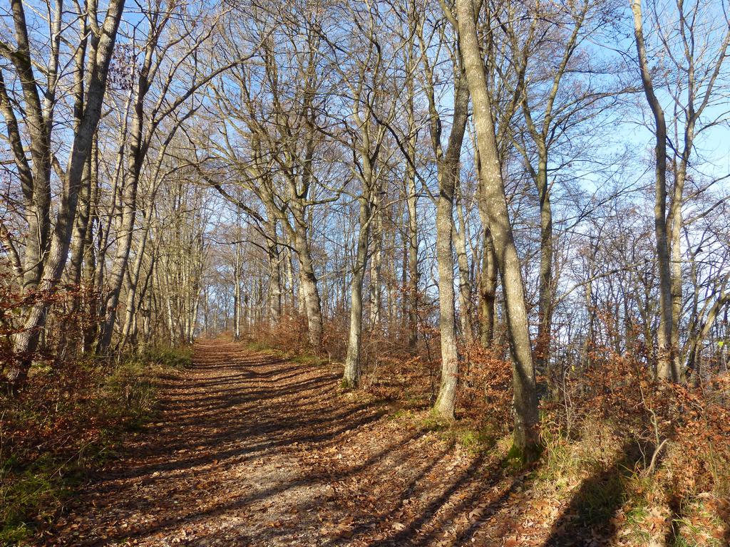 {Clic pour voir plus grand}