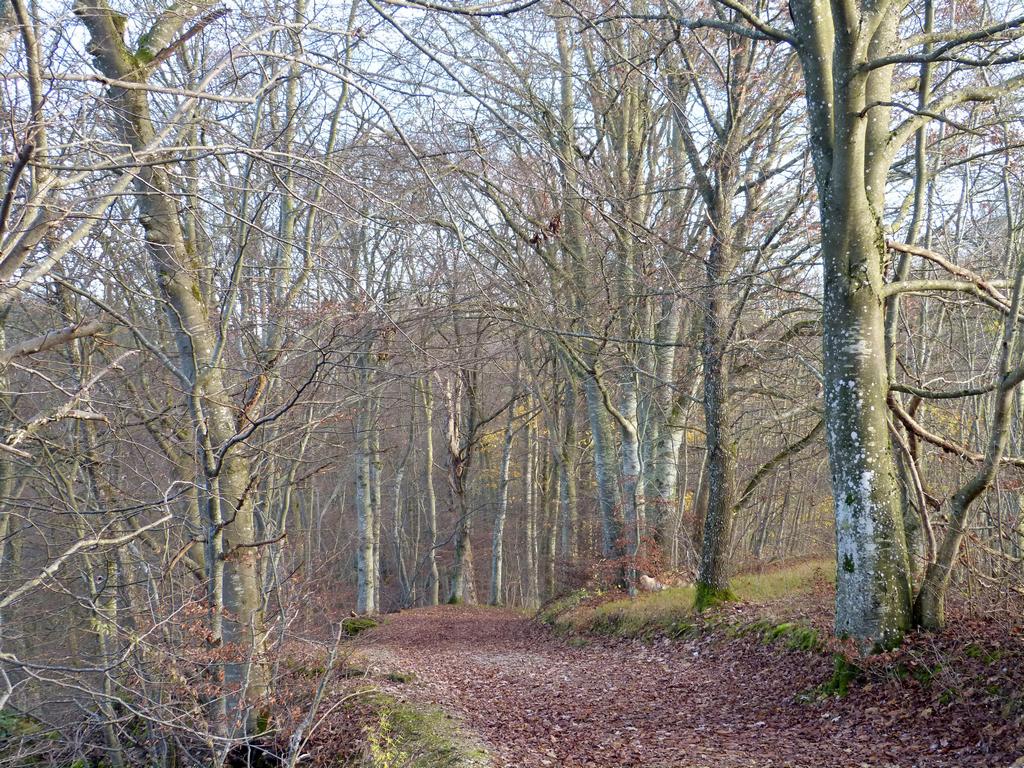 {Clic pour voir plus grand}