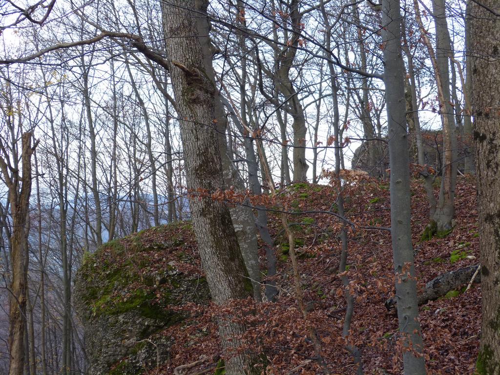 {Clic pour voir plus grand}