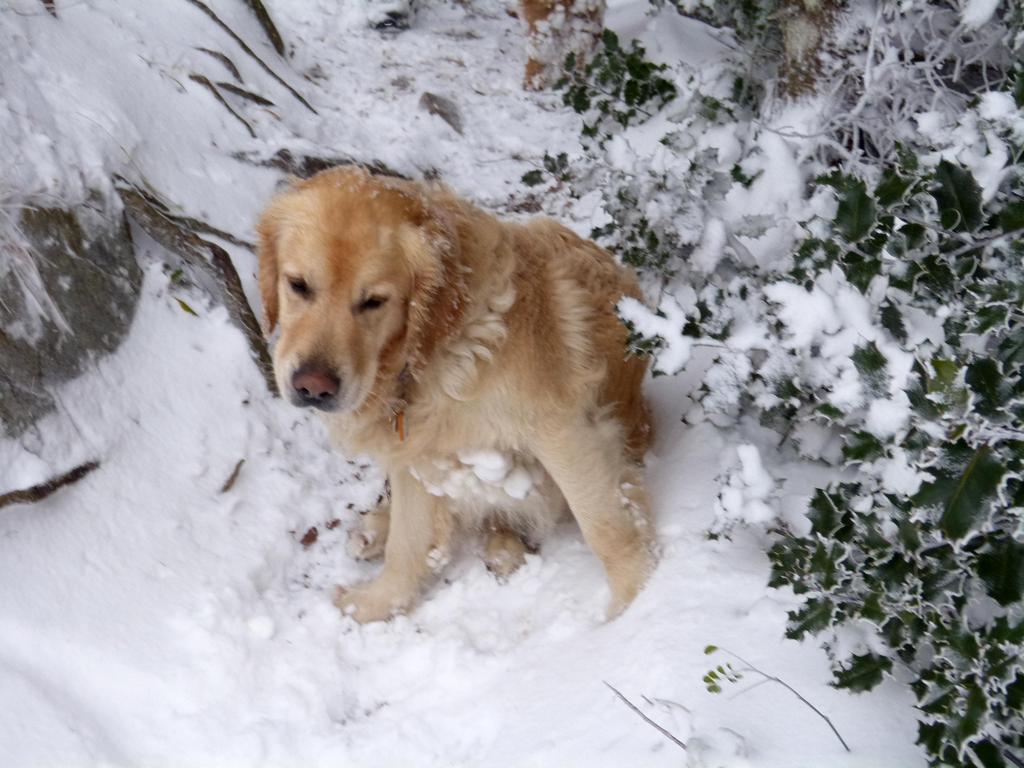 {Clic pour voir plus grand}