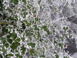 Click to see big picture (1024x768 pixels; 155 KB)