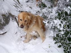 Click to see big picture (1024x768 pixels; 107 KB)