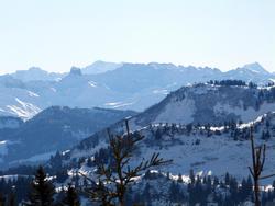 Click to see big picture (1024x768 pixels; 86 KB)