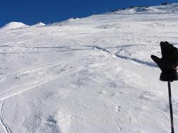 Click to see big picture (1024x768 pixels; 122 KB)