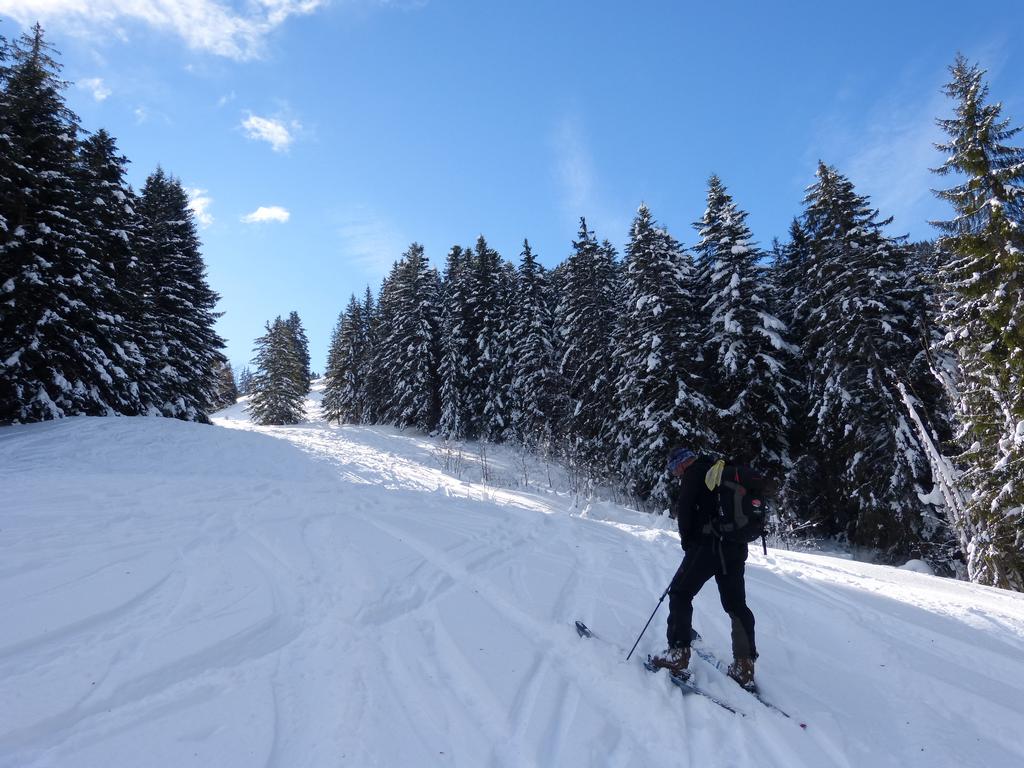 {Clic pour voir plus grand}