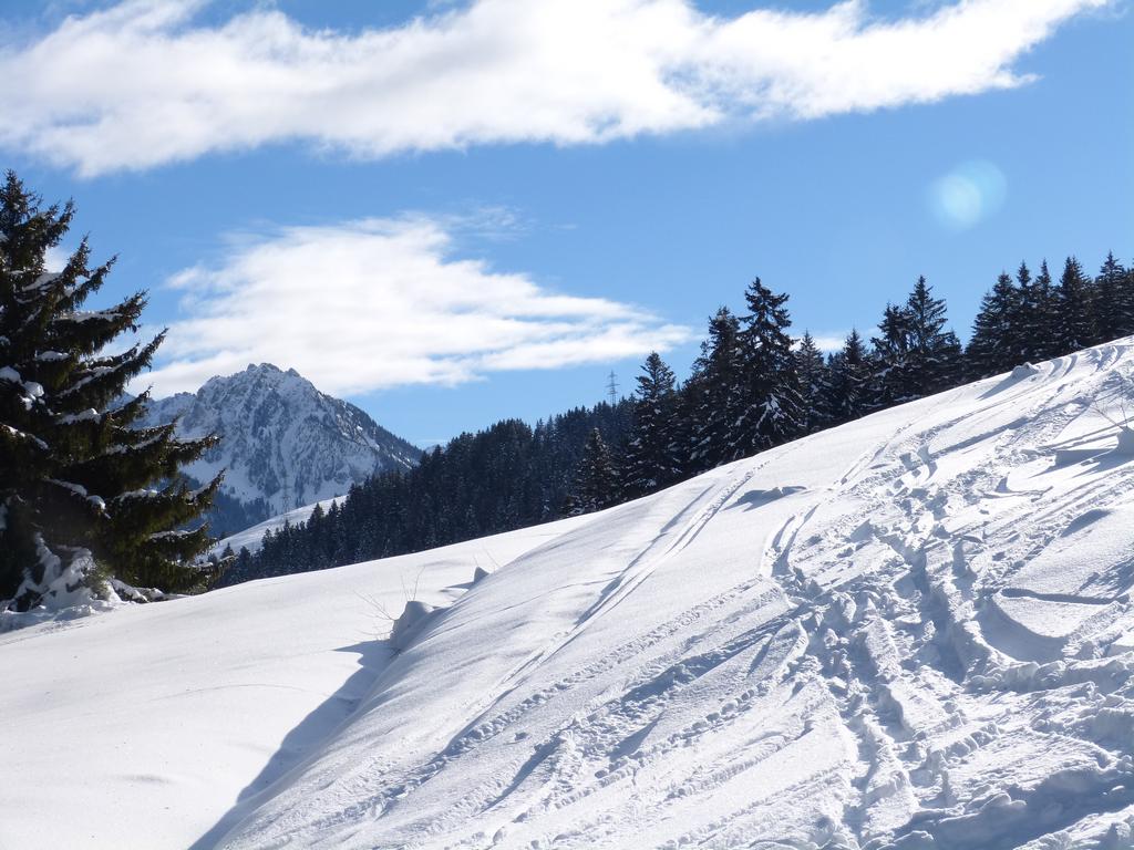 {Clic pour voir plus grand}