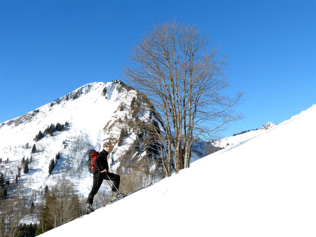 {Clic pour voir plus grand}